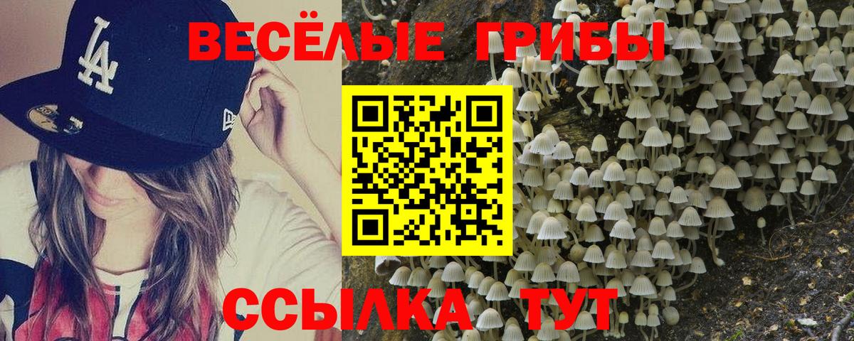Майкоп  Галлюциногенные грибы мицелий  Вход с VPN 