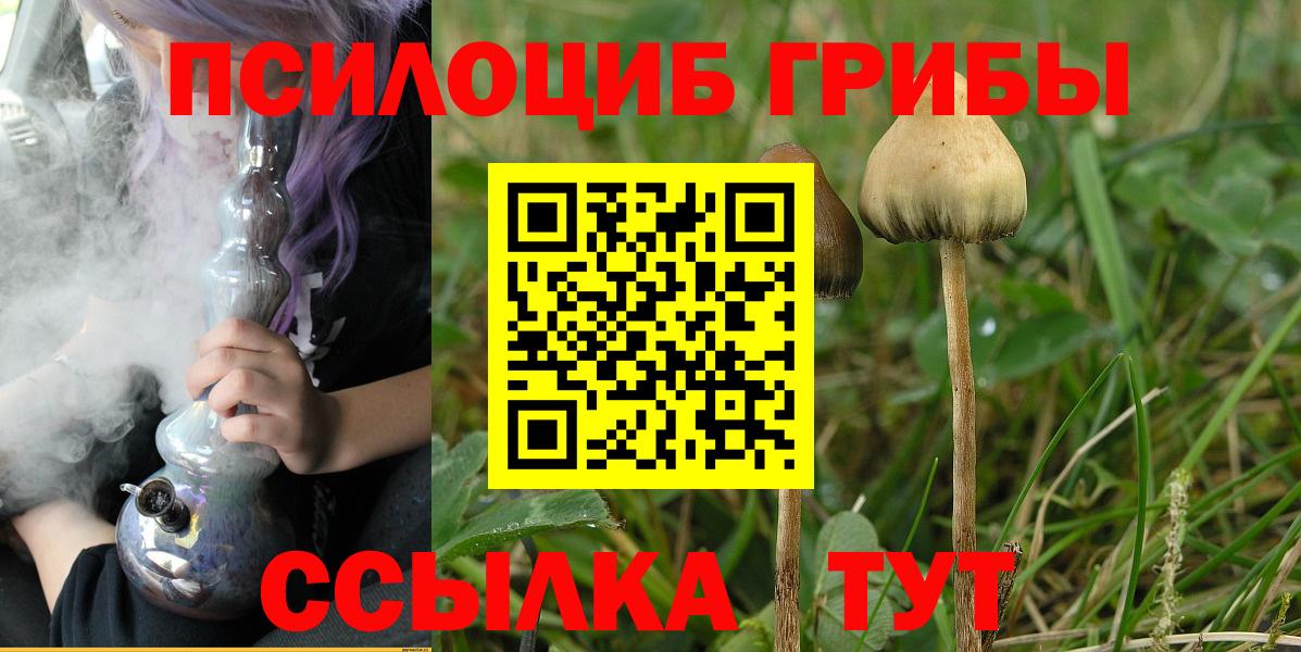 Галлюциногенные грибы Cubensis Майкоп